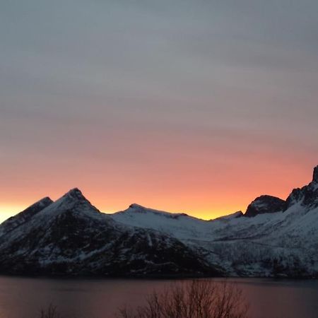 Senja, Husoy I Senja. Leilighet Med Utsikt Over Fjord Og Fjell Tofta Ngoại thất bức ảnh