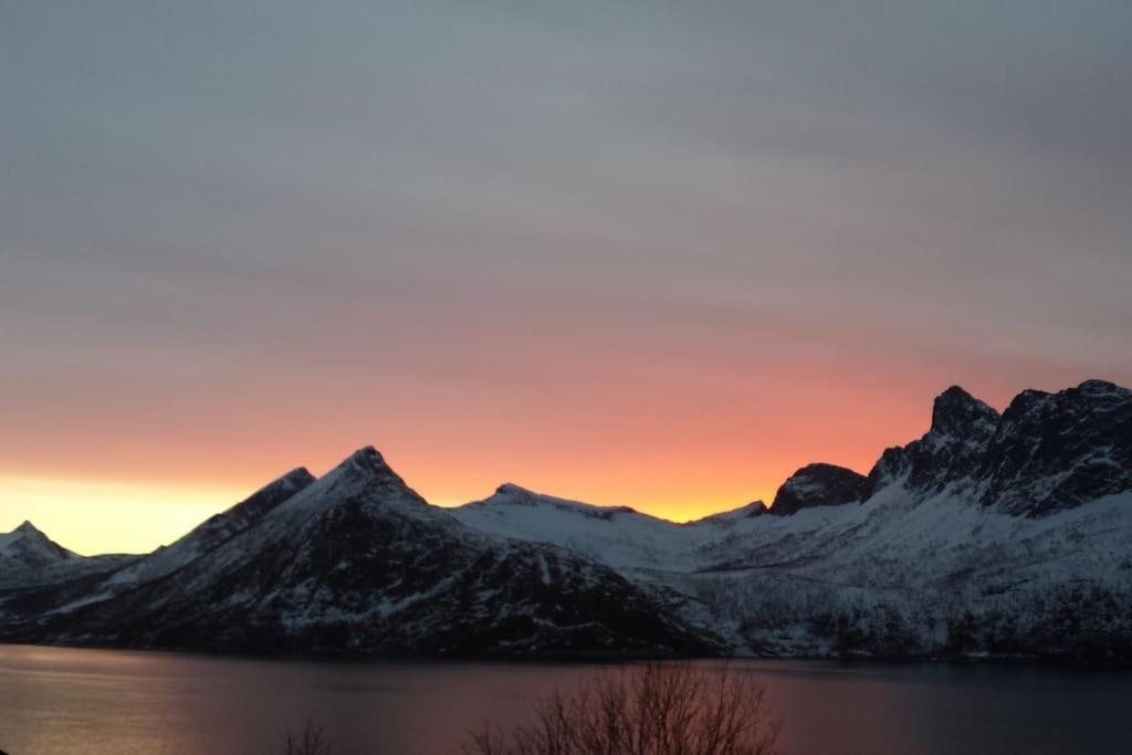 Senja, Husoy I Senja. Leilighet Med Utsikt Over Fjord Og Fjell Tofta Ngoại thất bức ảnh