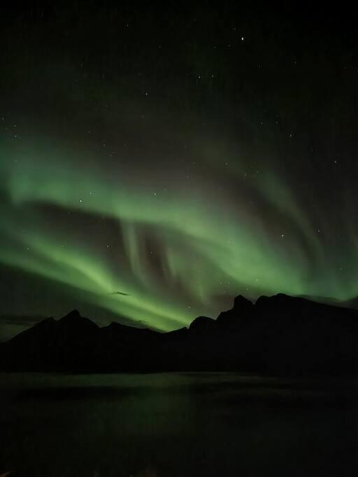 Senja, Husoy I Senja. Leilighet Med Utsikt Over Fjord Og Fjell Tofta Ngoại thất bức ảnh